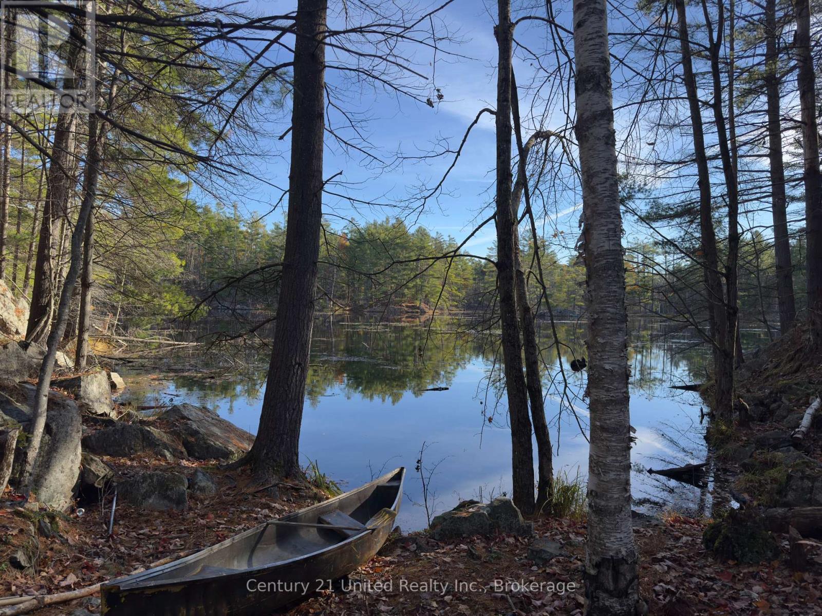 3337 County Rd 46, Havelock-Belmont-Methuen (Belmont-Methuen), Ontario  K0L 1Z0 - Photo 29 - X14112486