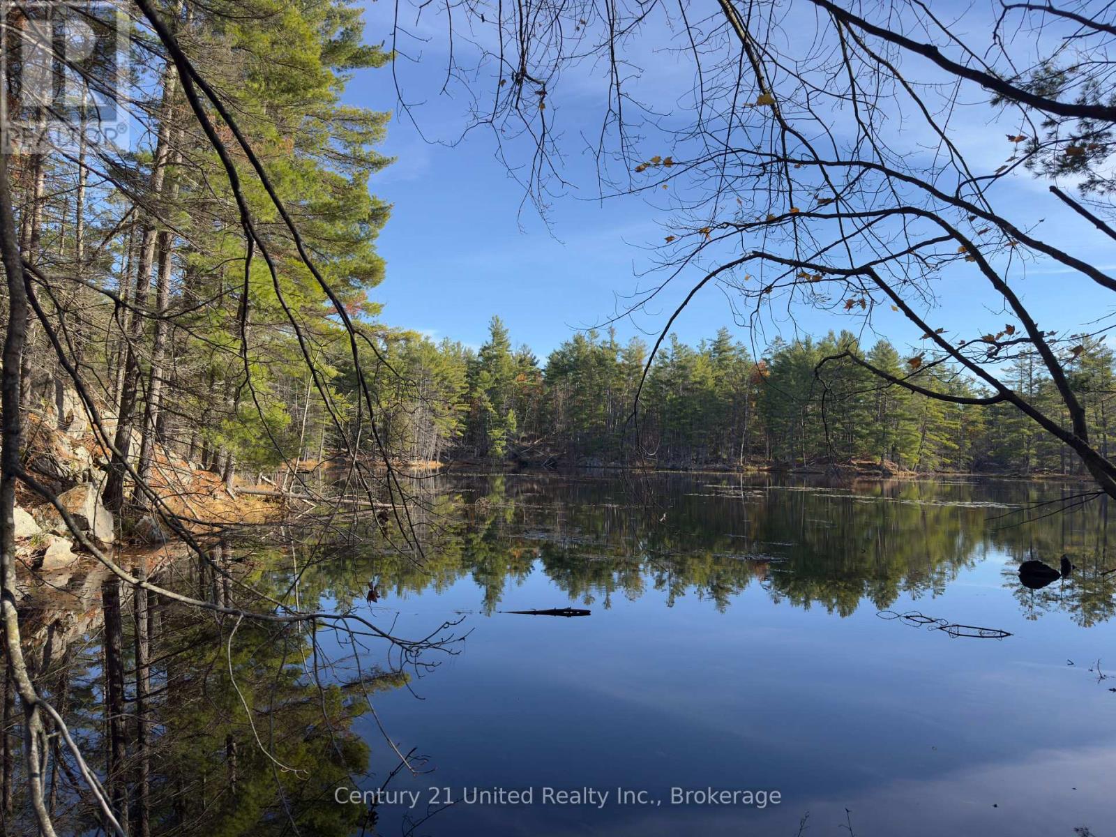 3337 County Rd 46, Havelock-Belmont-Methuen (Belmont-Methuen), Ontario  K0L 1Z0 - Photo 31 - X14112486