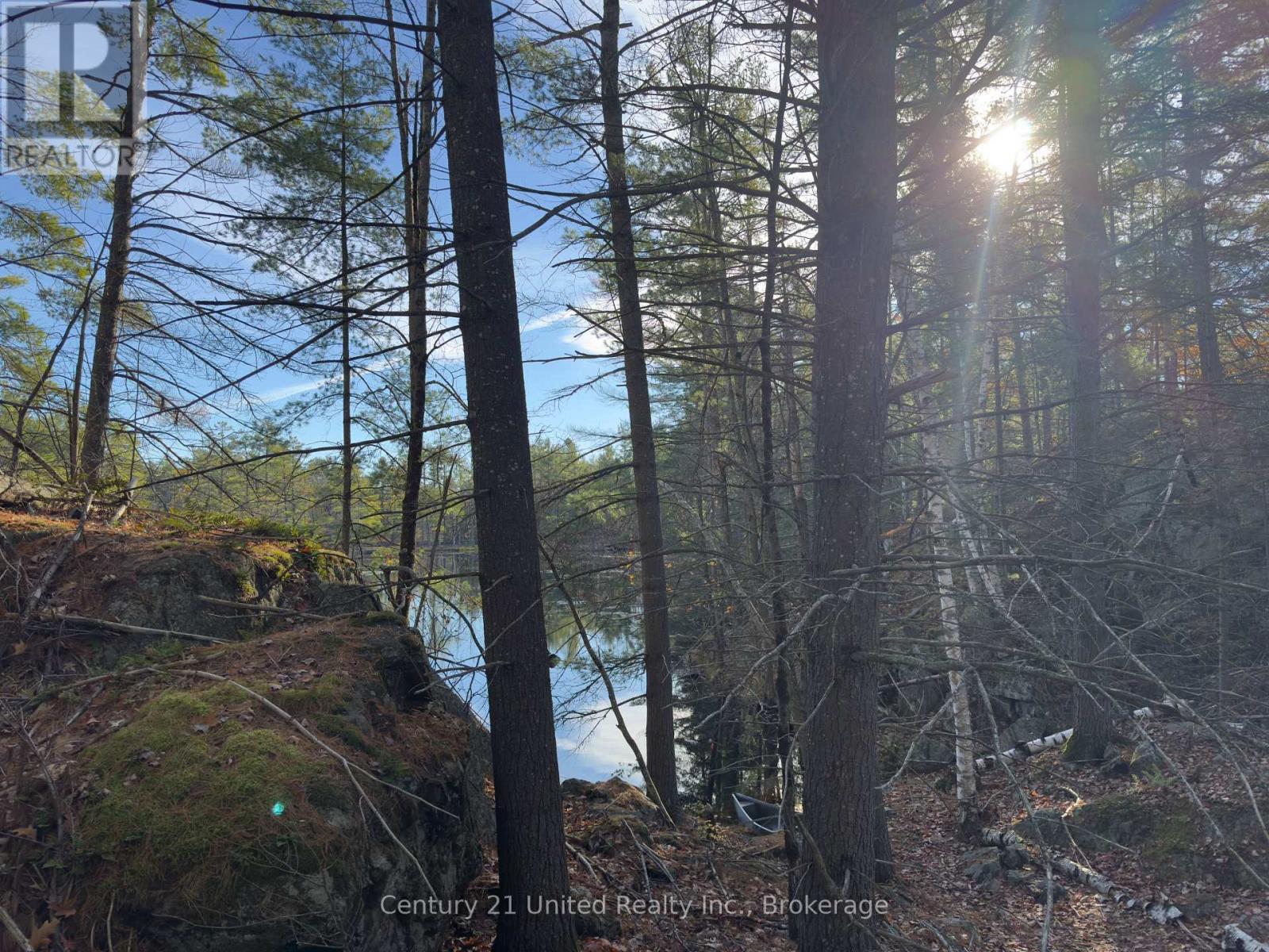 3337 County Rd 46, Havelock-Belmont-Methuen (Belmont-Methuen), Ontario  K0L 1Z0 - Photo 33 - X14112486