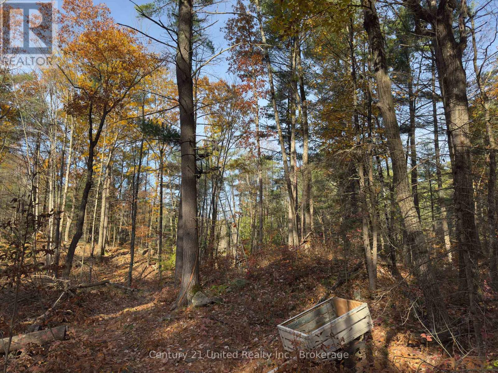 3337 County Rd 46, Havelock-Belmont-Methuen (Belmont-Methuen), Ontario  K0L 1Z0 - Photo 34 - X14112486