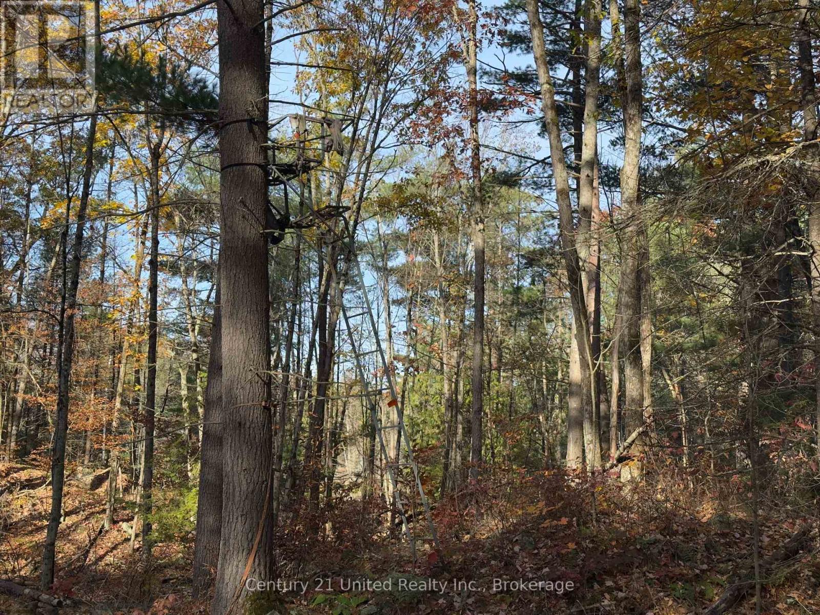 3337 County Rd 46, Havelock-Belmont-Methuen (Belmont-Methuen), Ontario  K0L 1Z0 - Photo 35 - X14112486
