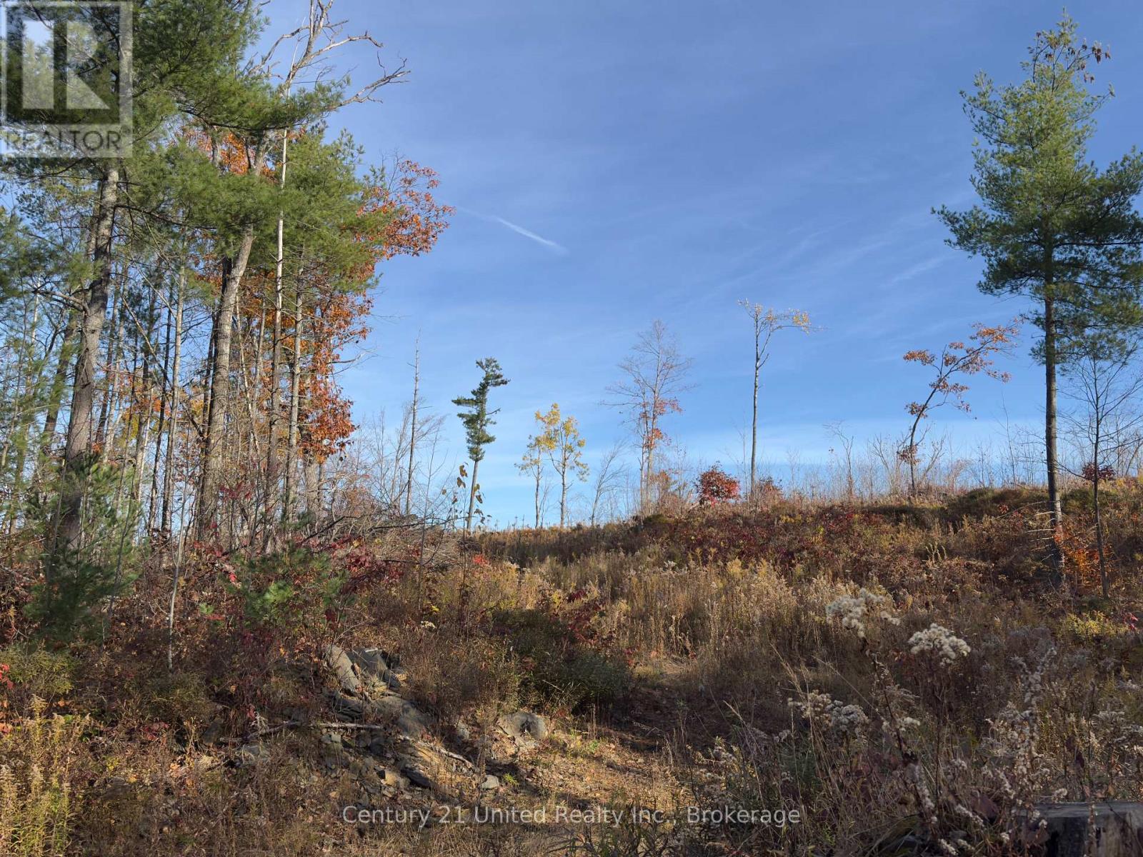 3337 County Rd 46, Havelock-Belmont-Methuen (Belmont-Methuen), Ontario  K0L 1Z0 - Photo 36 - X14112486