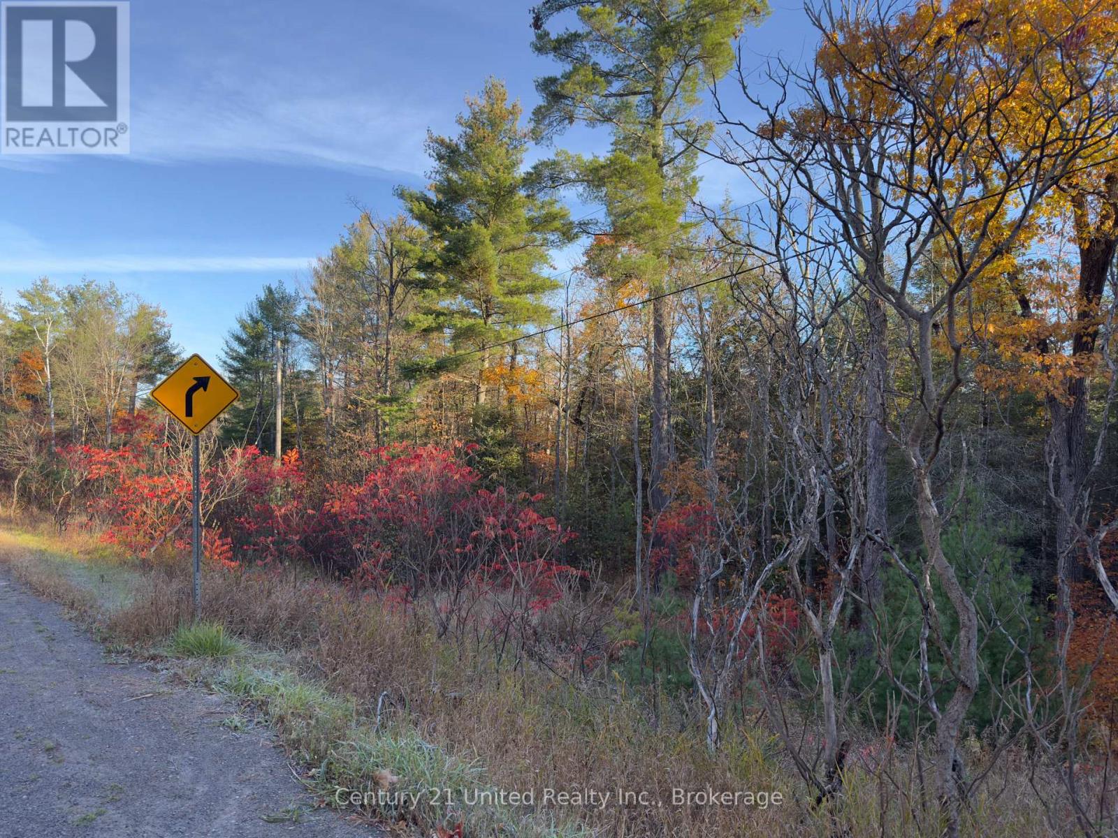 3337 County Rd 46, Havelock-Belmont-Methuen (Belmont-Methuen), Ontario  K0L 1Z0 - Photo 37 - X14112486