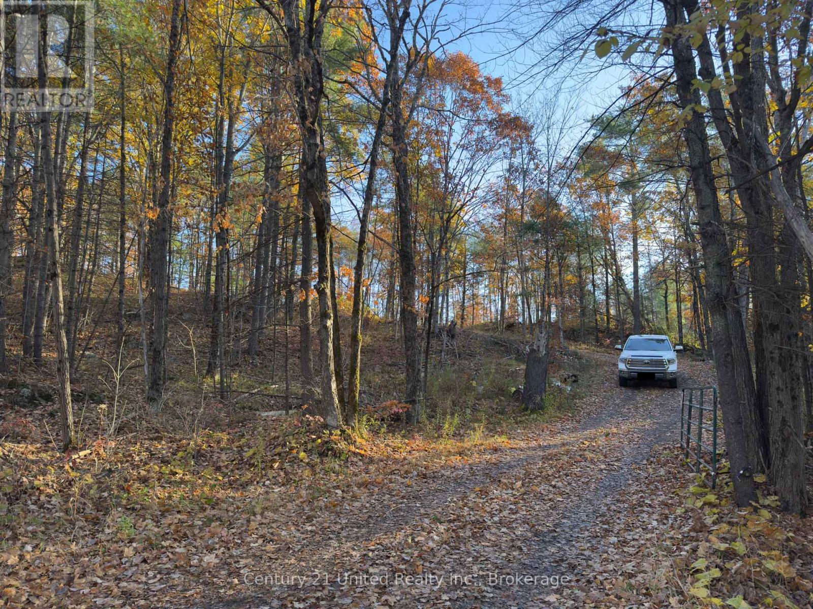 3337 County Rd 46, Havelock-Belmont-Methuen (Belmont-Methuen), Ontario  K0L 1Z0 - Photo 4 - X14112486