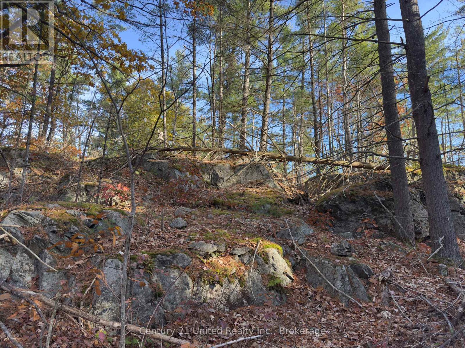 3337 County Rd 46, Havelock-Belmont-Methuen (Belmont-Methuen), Ontario  K0L 1Z0 - Photo 41 - X14112486