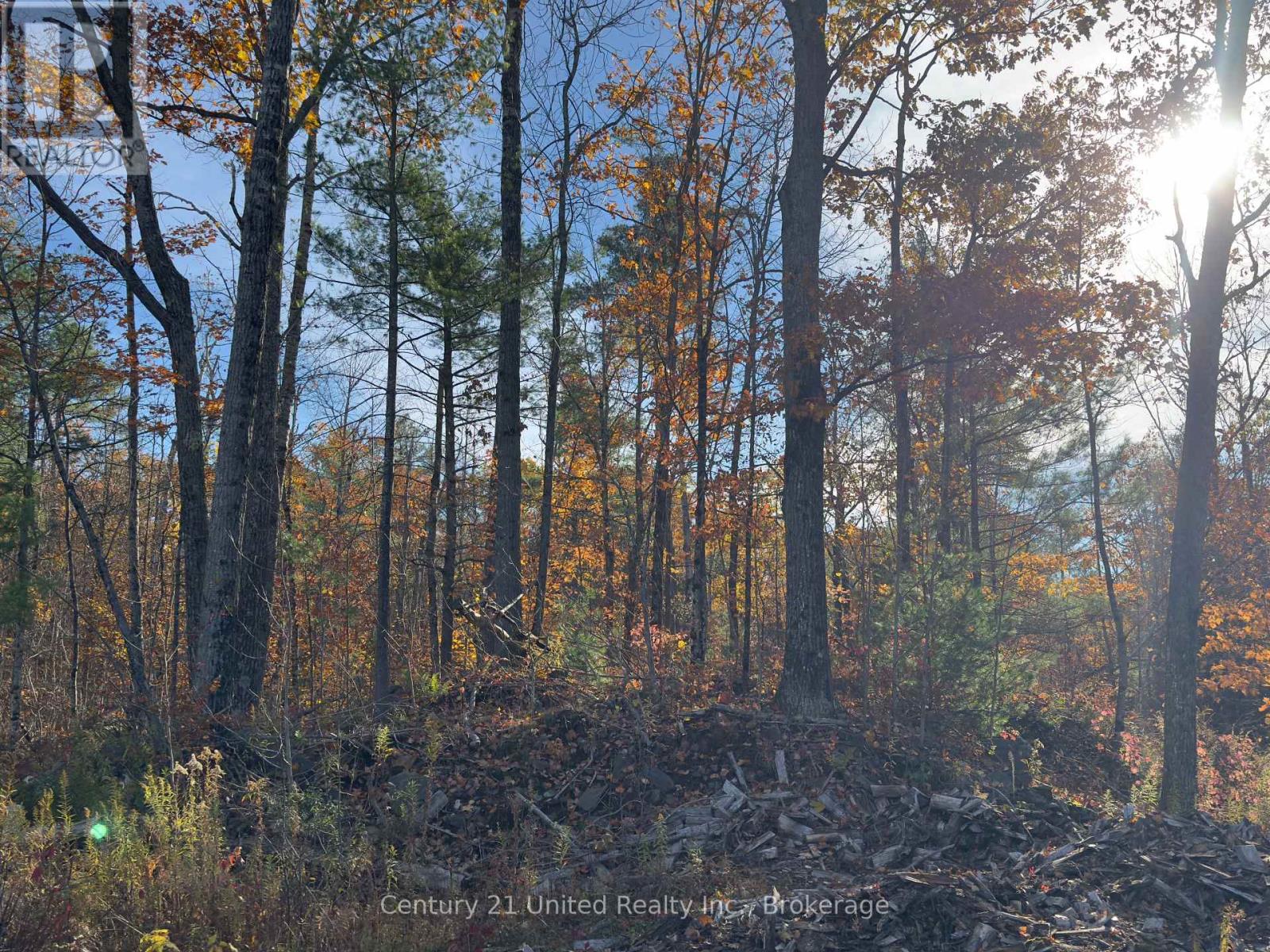 3337 County Rd 46, Havelock-Belmont-Methuen (Belmont-Methuen), Ontario  K0L 1Z0 - Photo 42 - X14112486