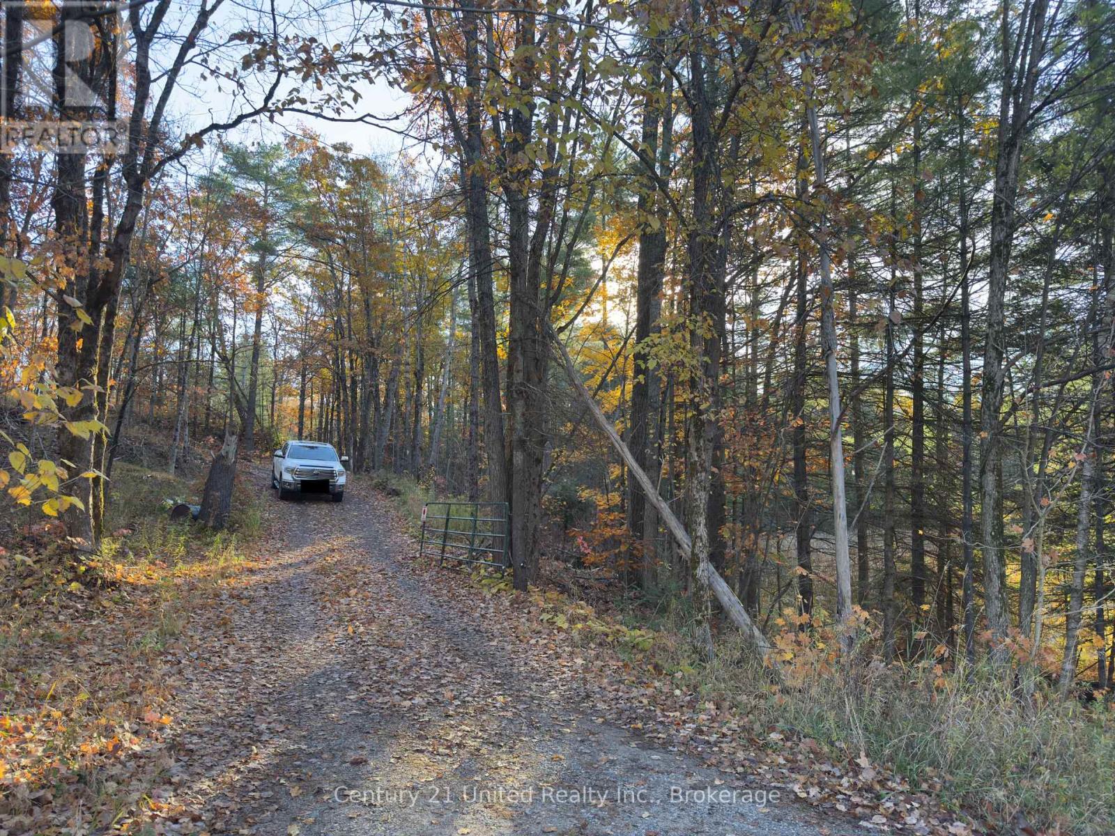 3337 County Rd 46, Havelock-Belmont-Methuen (Belmont-Methuen), Ontario  K0L 1Z0 - Photo 5 - X14112486