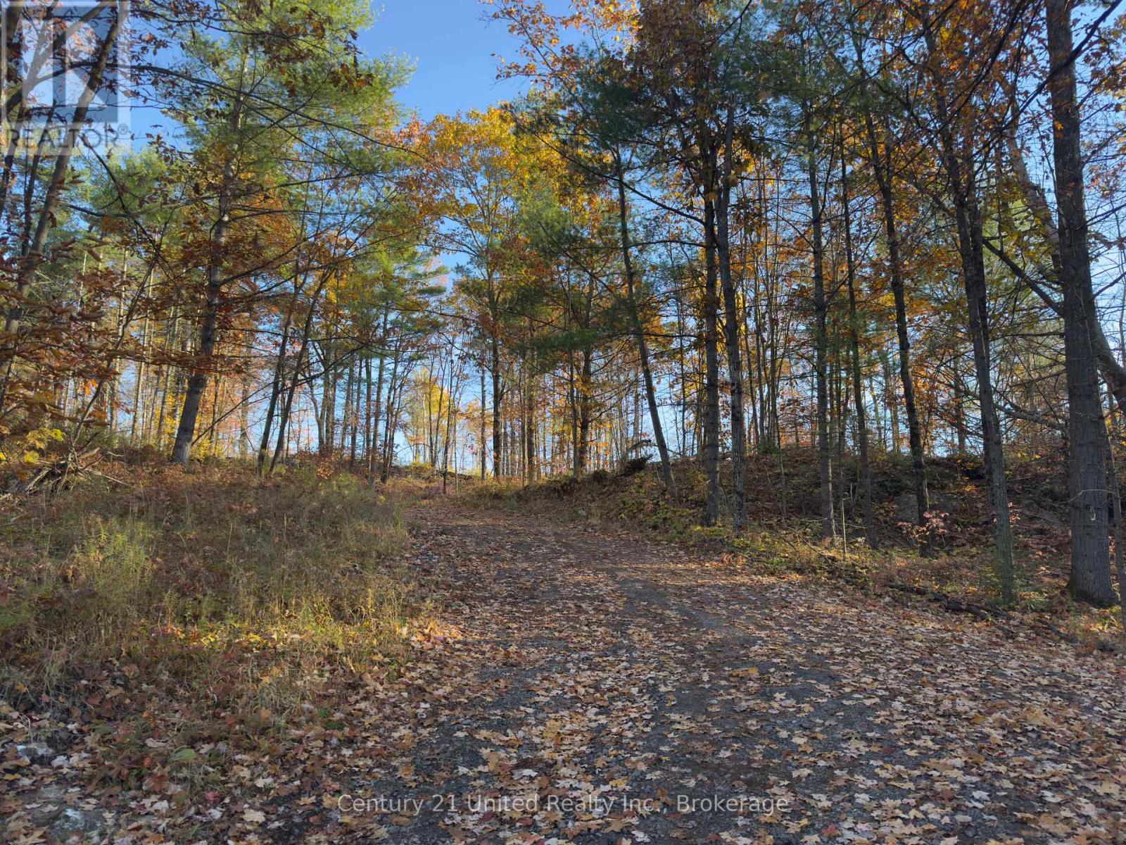 3337 County Rd 46, Havelock-Belmont-Methuen (Belmont-Methuen), Ontario  K0L 1Z0 - Photo 6 - X14112486