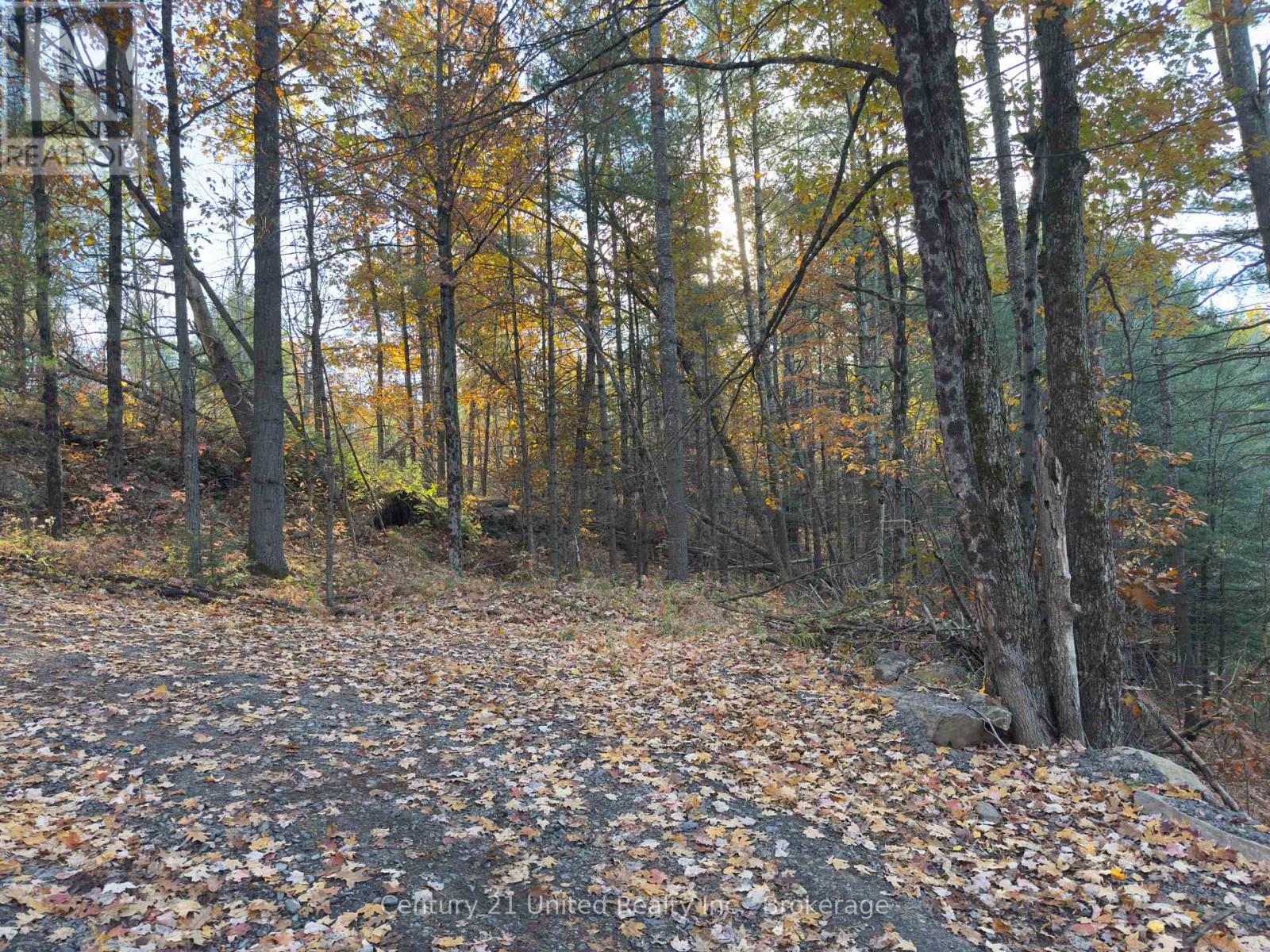 3337 County Rd 46, Havelock-Belmont-Methuen (Belmont-Methuen), Ontario  K0L 1Z0 - Photo 7 - X14112486