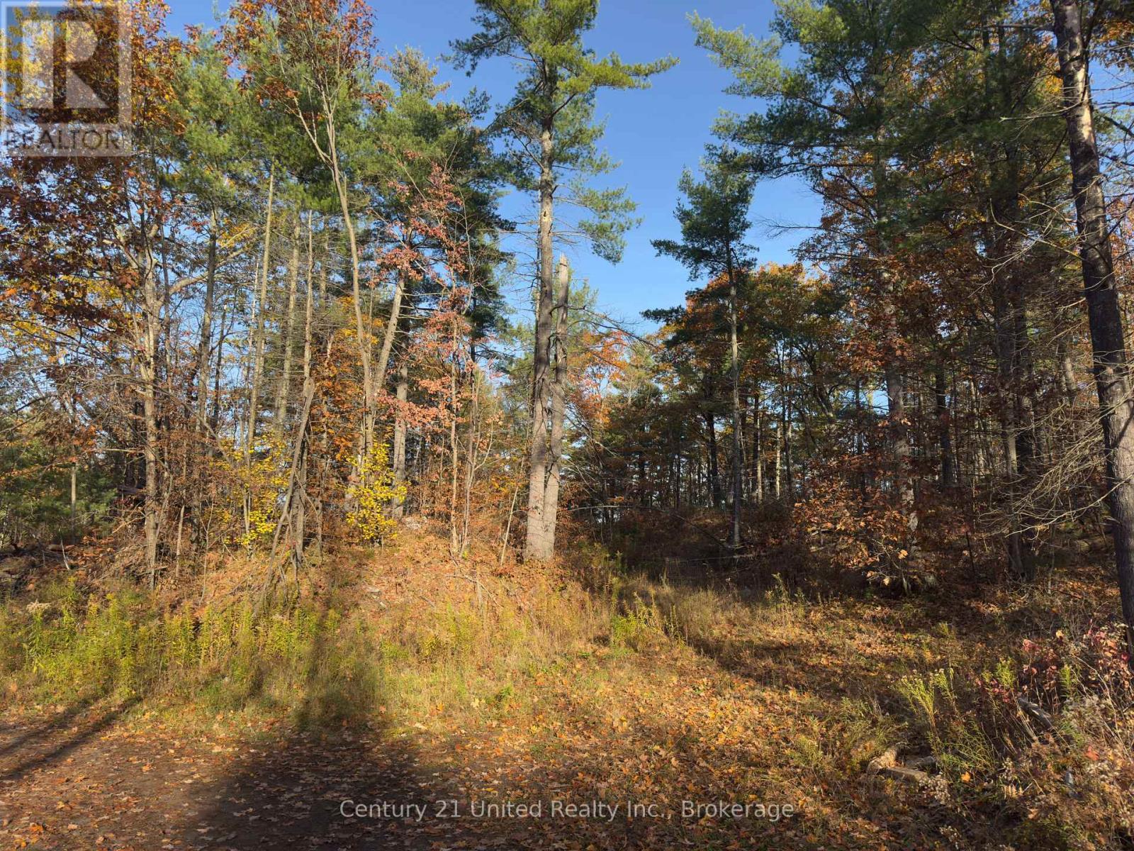 3337 County Rd 46, Havelock-Belmont-Methuen (Belmont-Methuen), Ontario  K0L 1Z0 - Photo 9 - X14112486