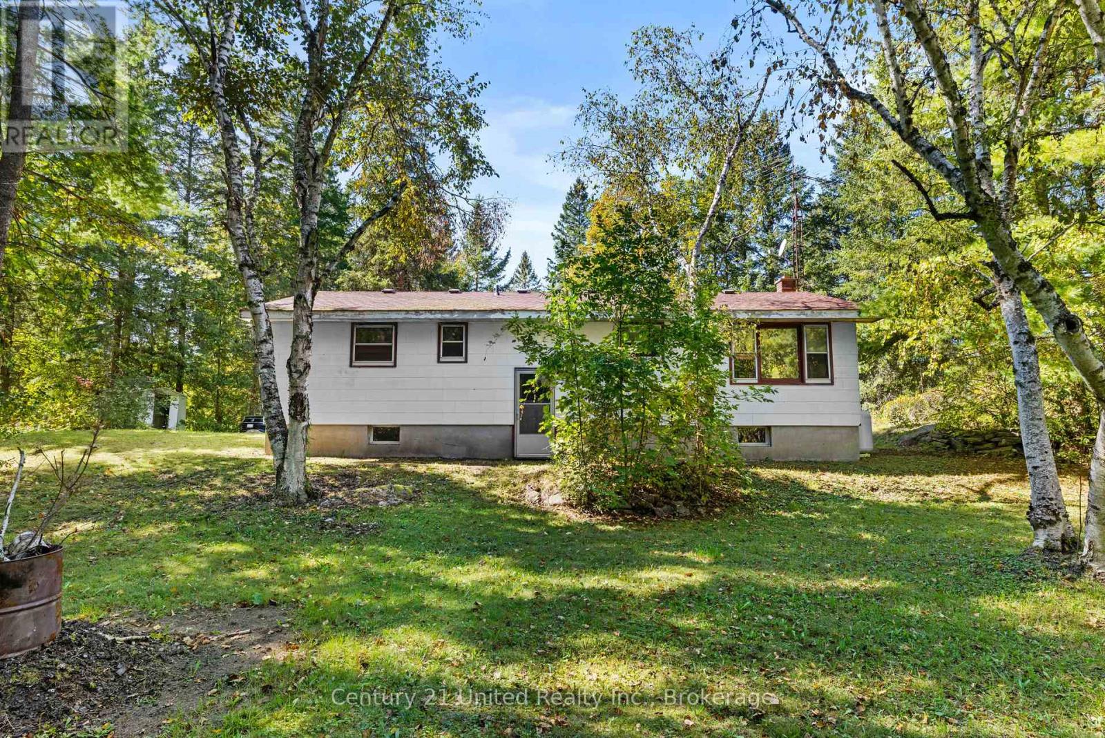 3795 Highway 28, Douro-Dummer, Ontario  K0L 2H0 - Photo 4 - X14116796