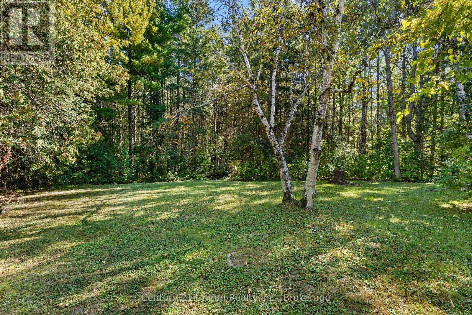 3795 Highway 28, Douro-Dummer, Ontario  K0L 2H0 - Photo 5 - X14116796