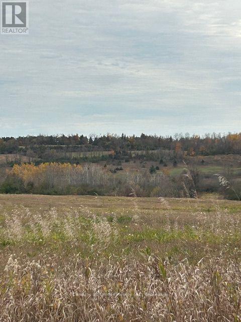 0 Elmdale Road, Cavan Monaghan (Cavan-Monaghan), Ontario  K9J 0G5 - Photo 3 - X14120432
