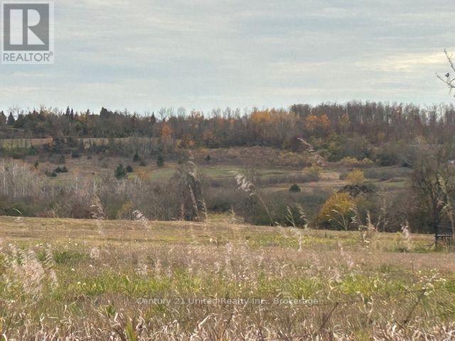 0 Elmdale Road, Cavan Monaghan (Cavan-Monaghan), Ontario  K9J 0G5 - Photo 4 - X14120432