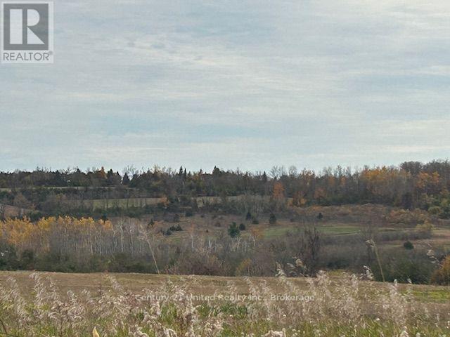 0 Elmdale Road, Cavan Monaghan (Cavan-Monaghan), Ontario  K9J 0G5 - Photo 5 - X14120432