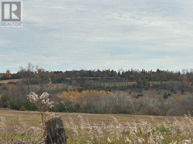 0 Elmdale Road, Cavan Monaghan (Cavan-Monaghan), Ontario  K9J 0G5 - Photo 6 - X14120432