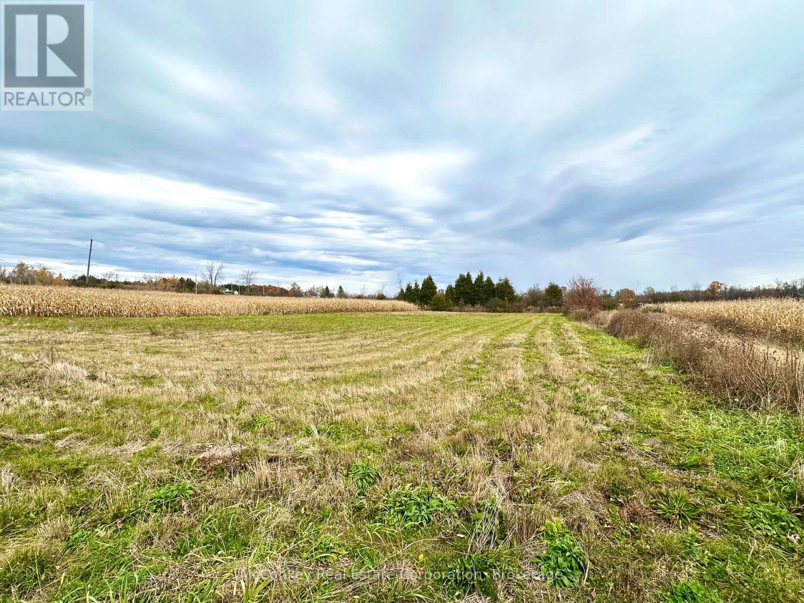 1198 Atchison Road, Otonabee-South Monaghan, Ontario  K0L 1V0 - Photo 6 - X14120848