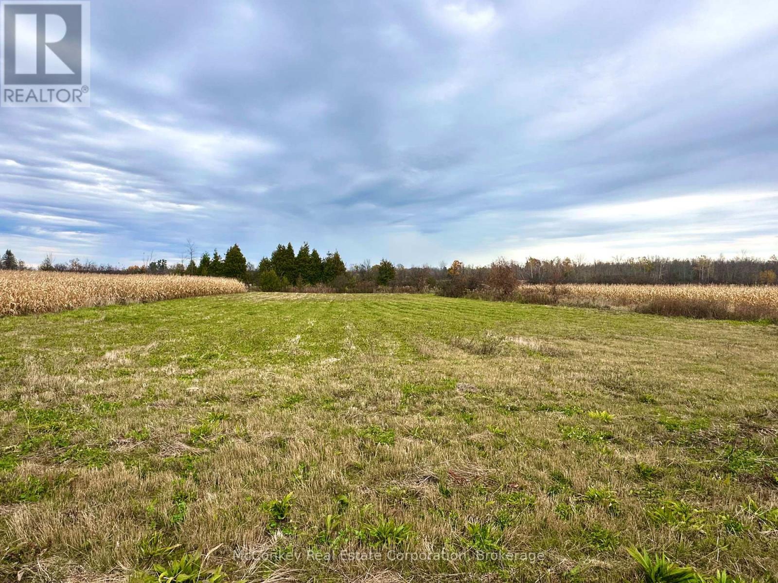1198 Atchison Road, Otonabee-South Monaghan, Ontario  K0L 1V0 - Photo 7 - X14120848