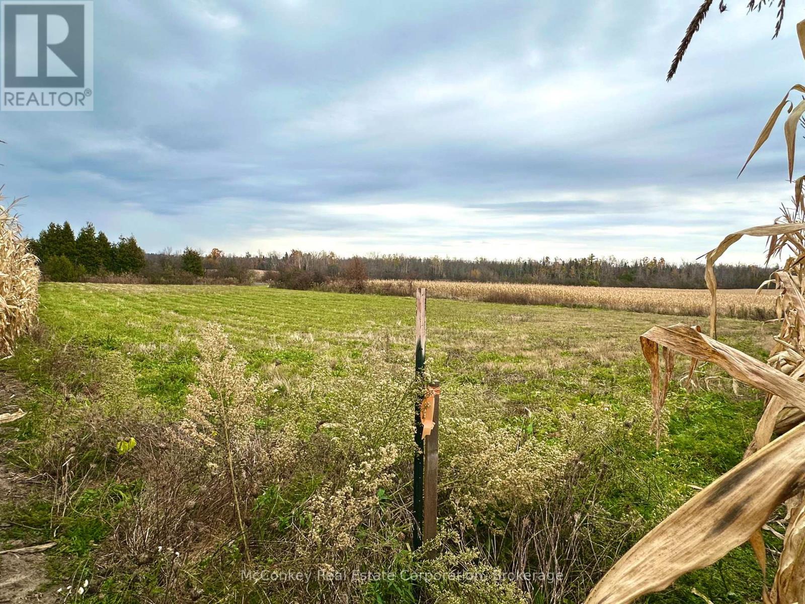 1198 Atchison Road, Otonabee-South Monaghan, Ontario  K0L 1V0 - Photo 8 - X14120848