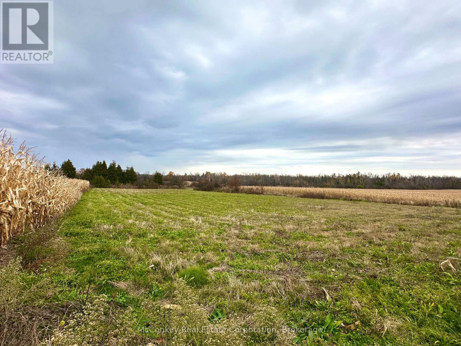 1198 Atchison Road, Otonabee-South Monaghan, Ontario  K0L 1V0 - Photo 9 - X14120848