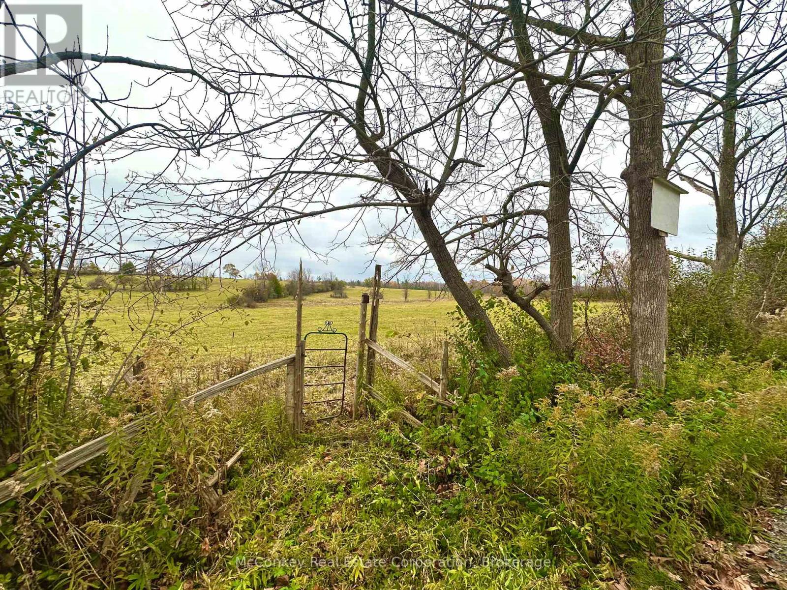 1243 Atchison Road, Otonabee-South Monaghan, Ontario  K0L 1V0 - Photo 3 - X14120856