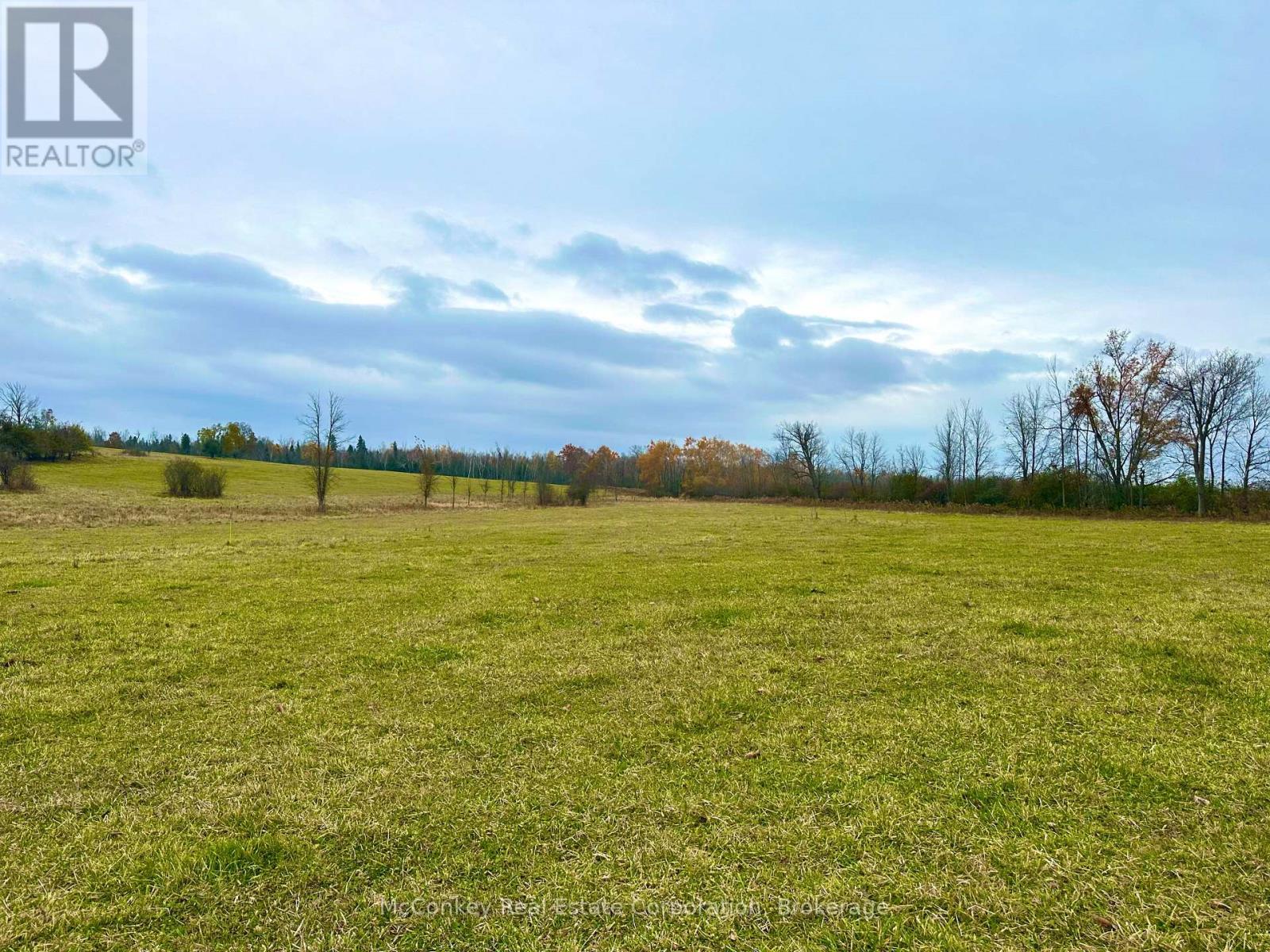1243 Atchison Road, Otonabee-South Monaghan, Ontario  K0L 1V0 - Photo 4 - X14120856
