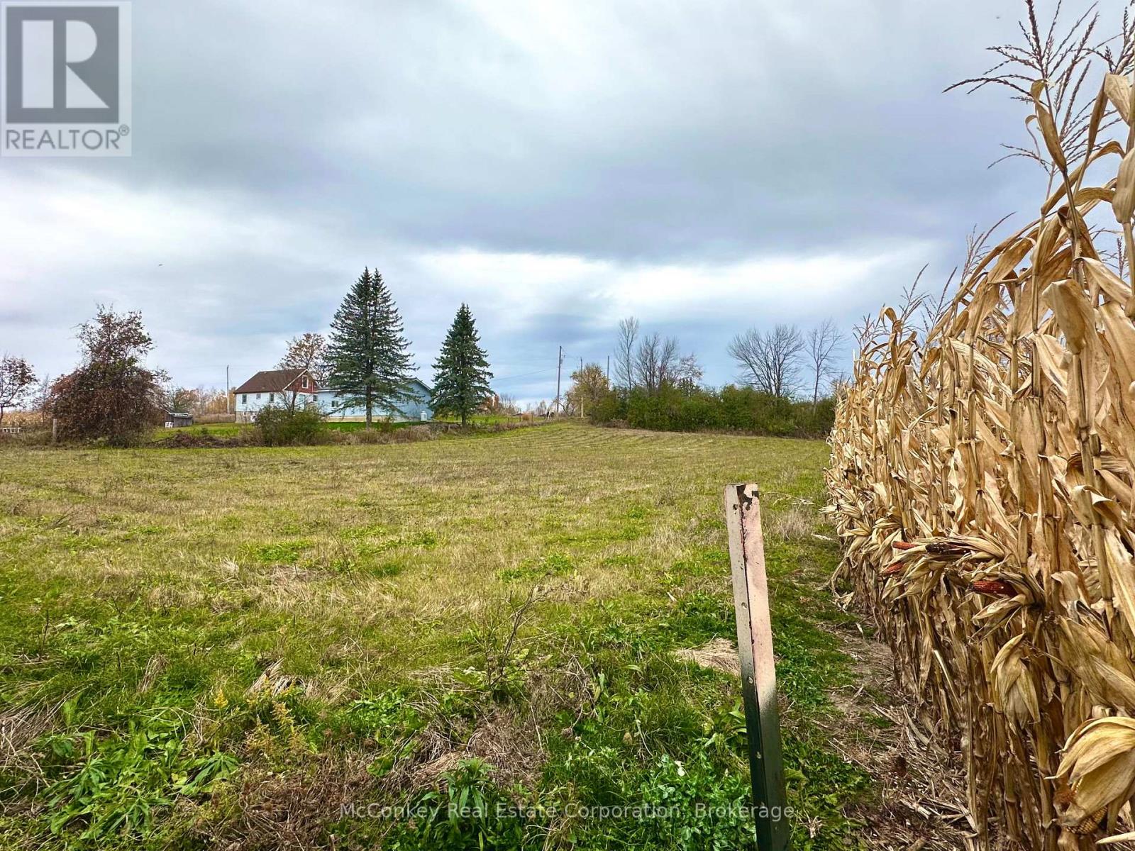 1231 Atchison Road, Otonabee-South Monaghan, Ontario  K0L 1V0 - Photo 12 - X14120858
