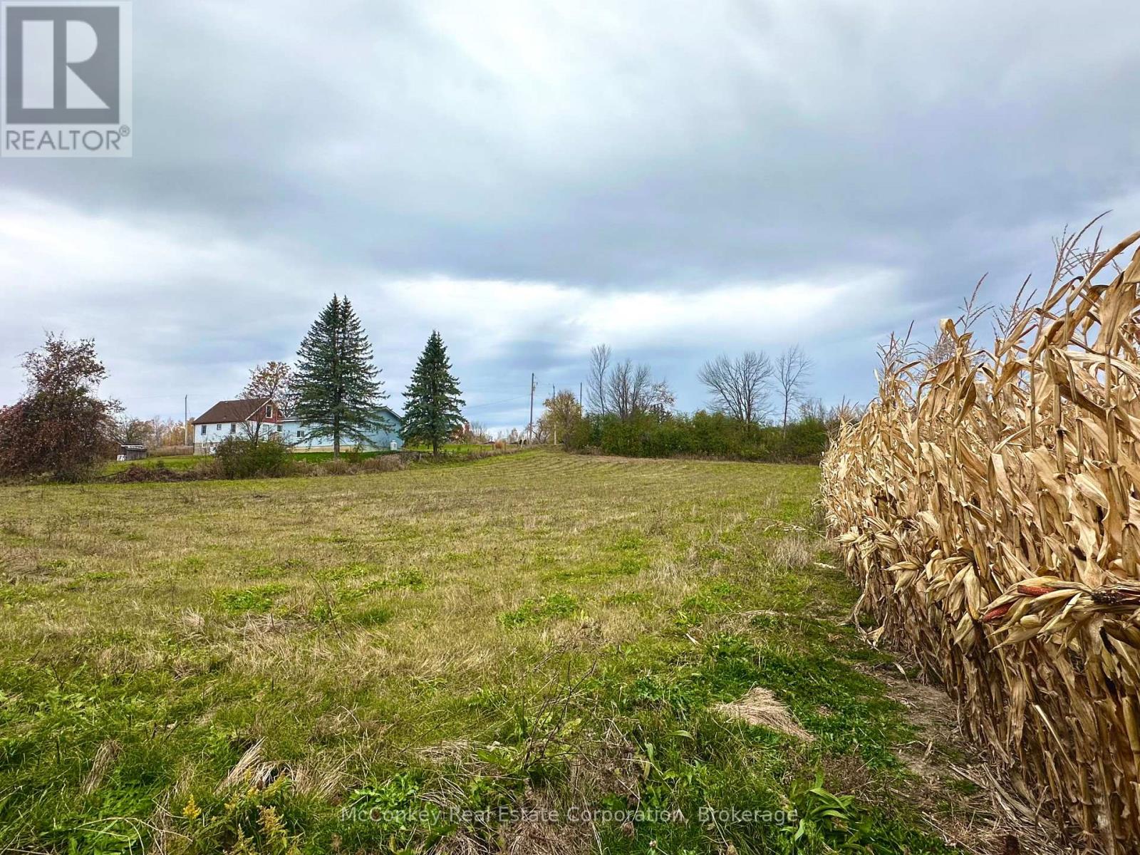 1231 Atchison Road, Otonabee-South Monaghan, Ontario  K0L 1V0 - Photo 13 - X14120858