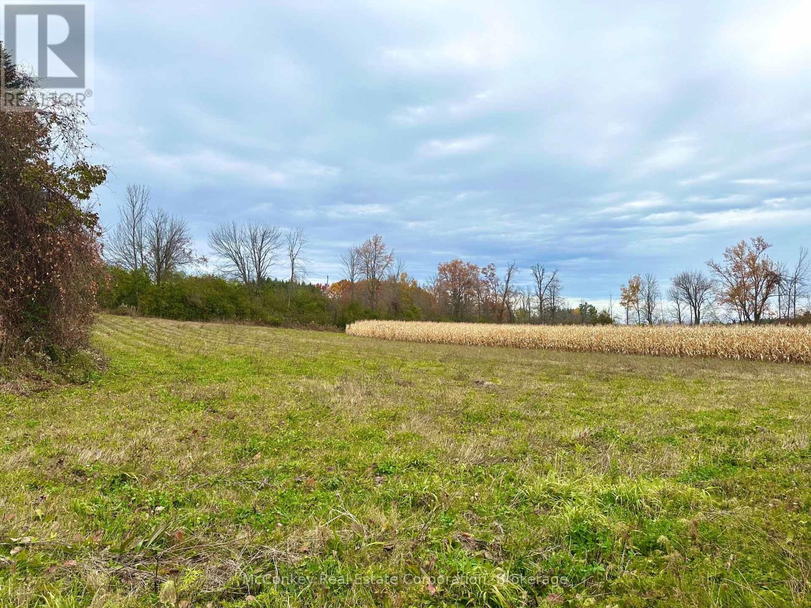 1231 Atchison Road, Otonabee-South Monaghan, Ontario  K0L 1V0 - Photo 9 - X14120858