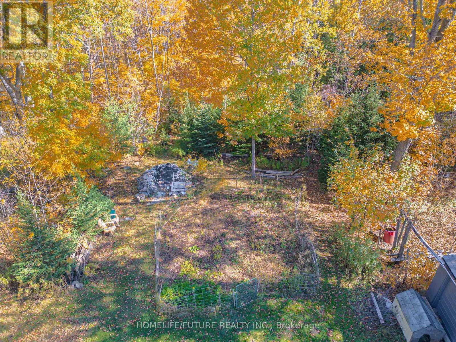 28 Woodlawn Drive, Trent Hills (Hastings), Ontario  K0L 1Y0 - Photo 10 - X14121836