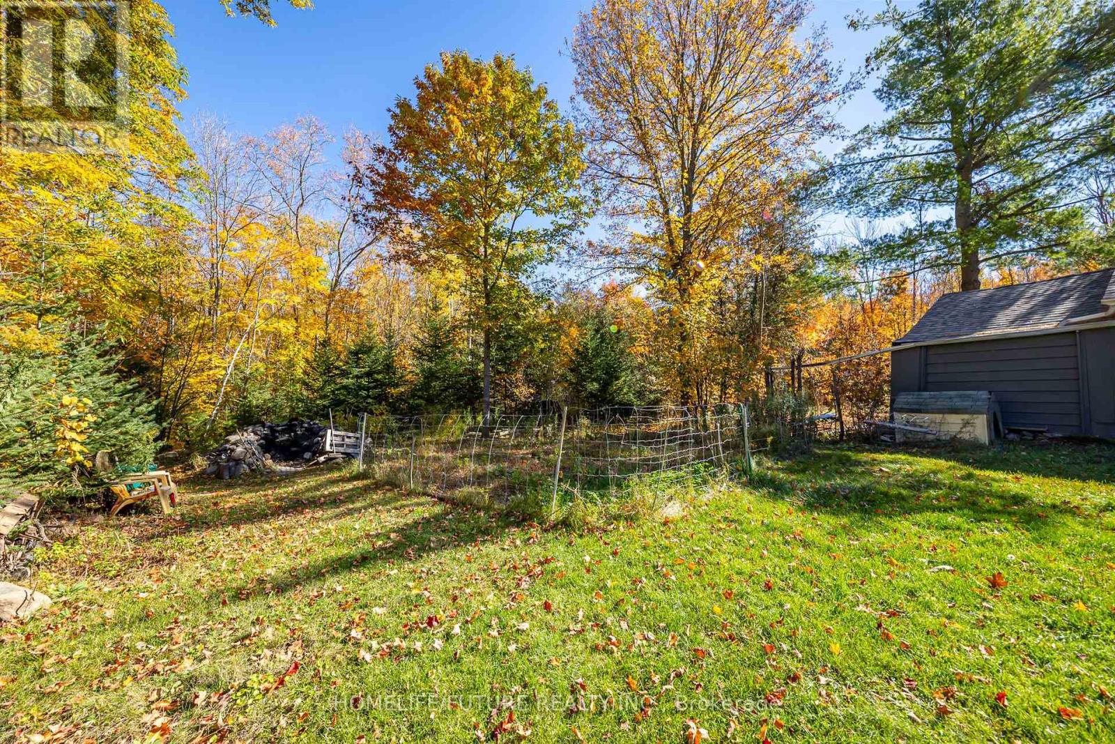 28 Woodlawn Drive, Trent Hills (Hastings), Ontario  K0L 1Y0 - Photo 23 - X14121836