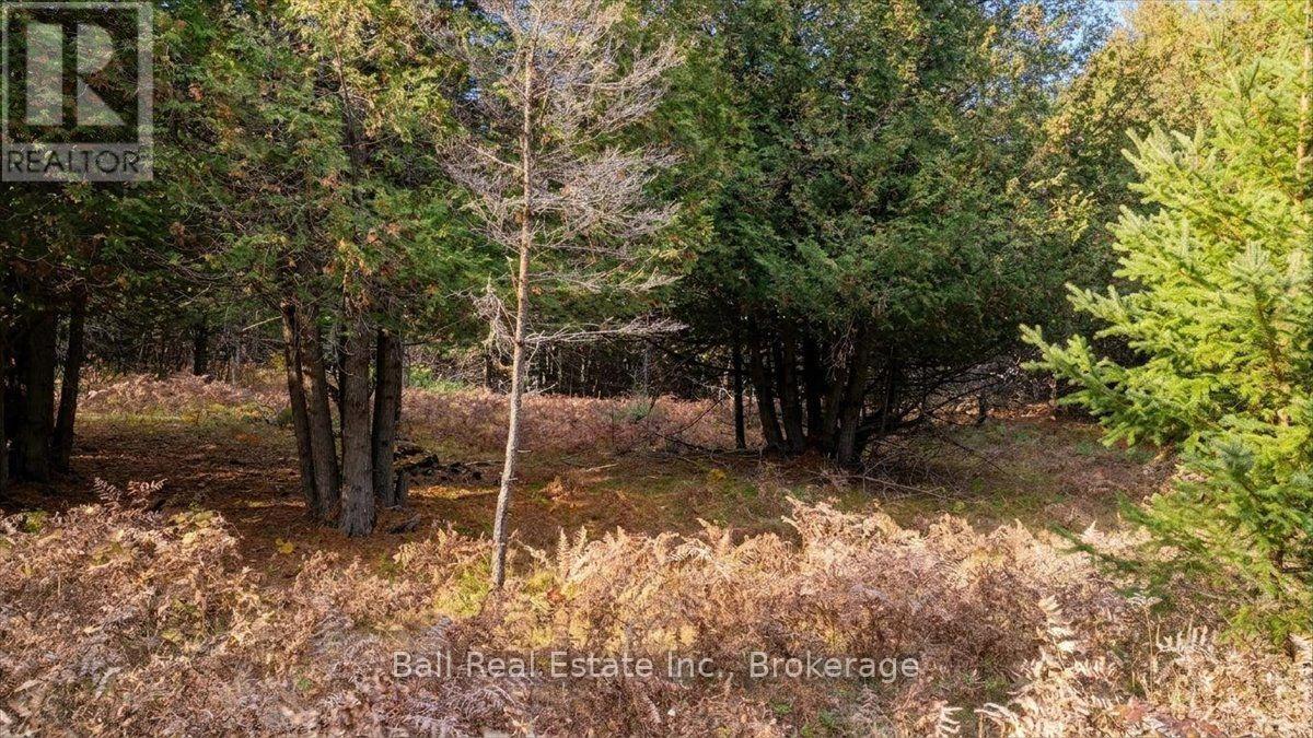 746 St Ola Road, Limerick, Ontario  K0L 1W0 - Photo 10 - X14126204
