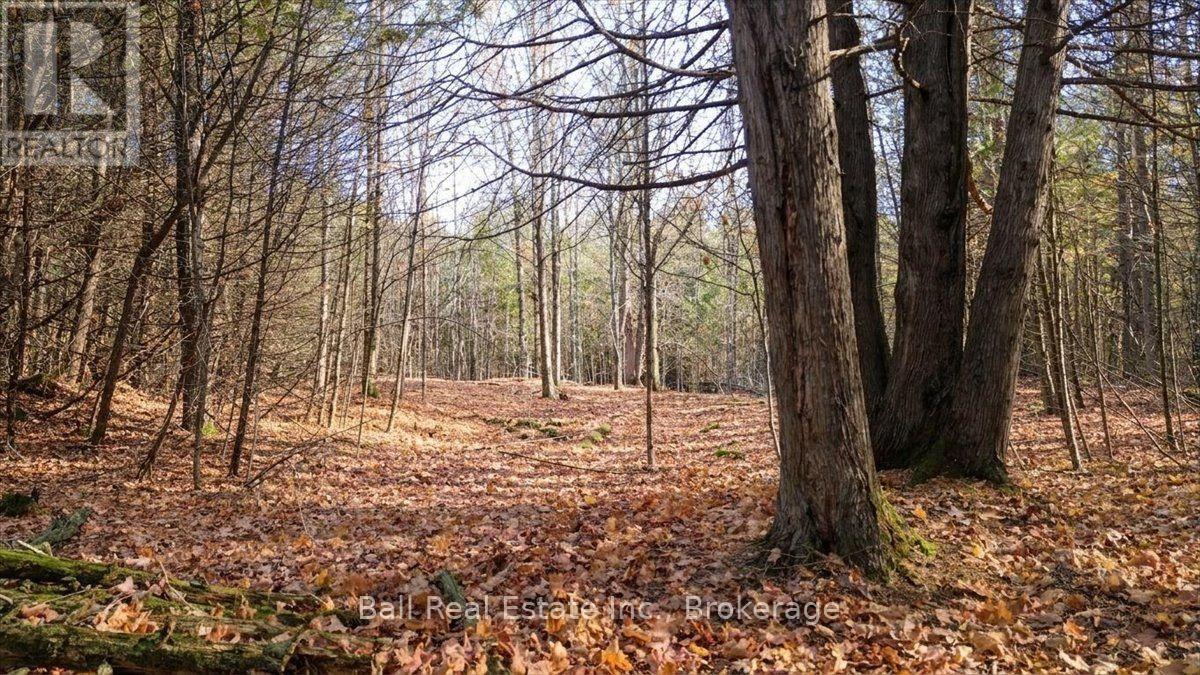 746 St Ola Road, Limerick, Ontario  K0L 1W0 - Photo 11 - X14126204