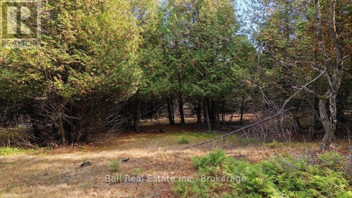 746 St Ola Road, Limerick, Ontario  K0L 1W0 - Photo 12 - X14126204