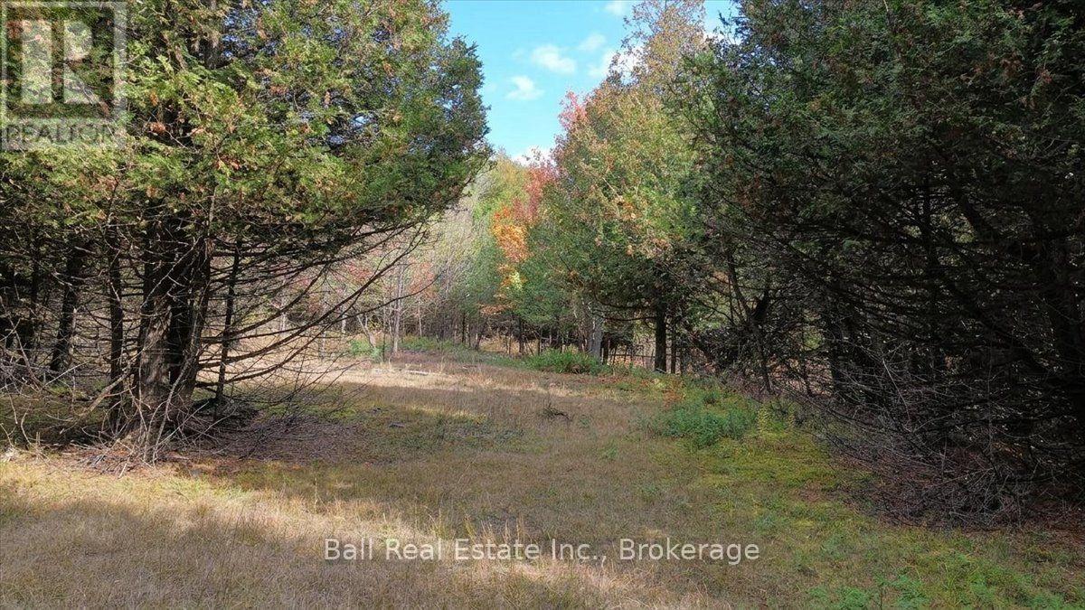 746 St Ola Road, Limerick, Ontario  K0L 1W0 - Photo 14 - X14126204