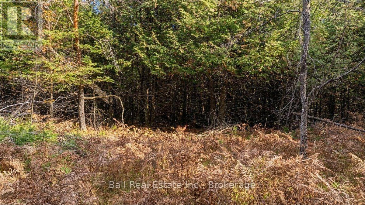 746 St Ola Road, Limerick, Ontario  K0L 1W0 - Photo 15 - X14126204