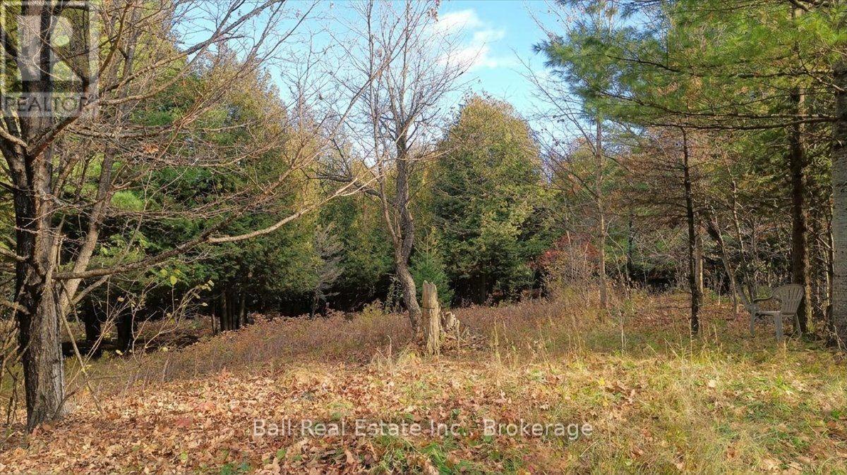 746 St Ola Road, Limerick, Ontario  K0L 1W0 - Photo 5 - X14126204