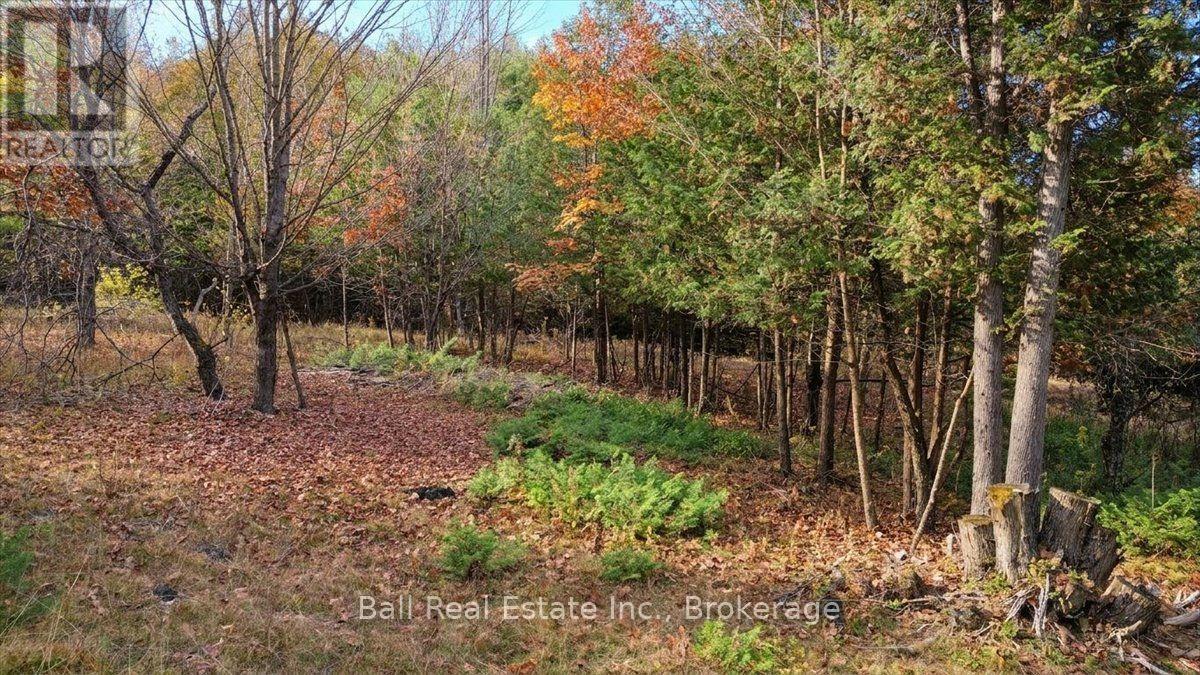 746 St Ola Road, Limerick, Ontario  K0L 1W0 - Photo 7 - X14126204
