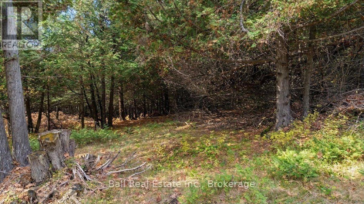 746 St Ola Road, Limerick, Ontario  K0L 1W0 - Photo 9 - X14126204