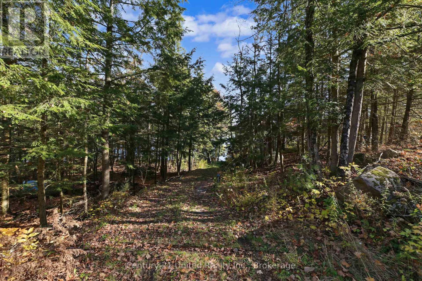 94 Fire Route 277, Trent Lakes, Ontario  K0L 1J0 - Photo 6 - X14127838