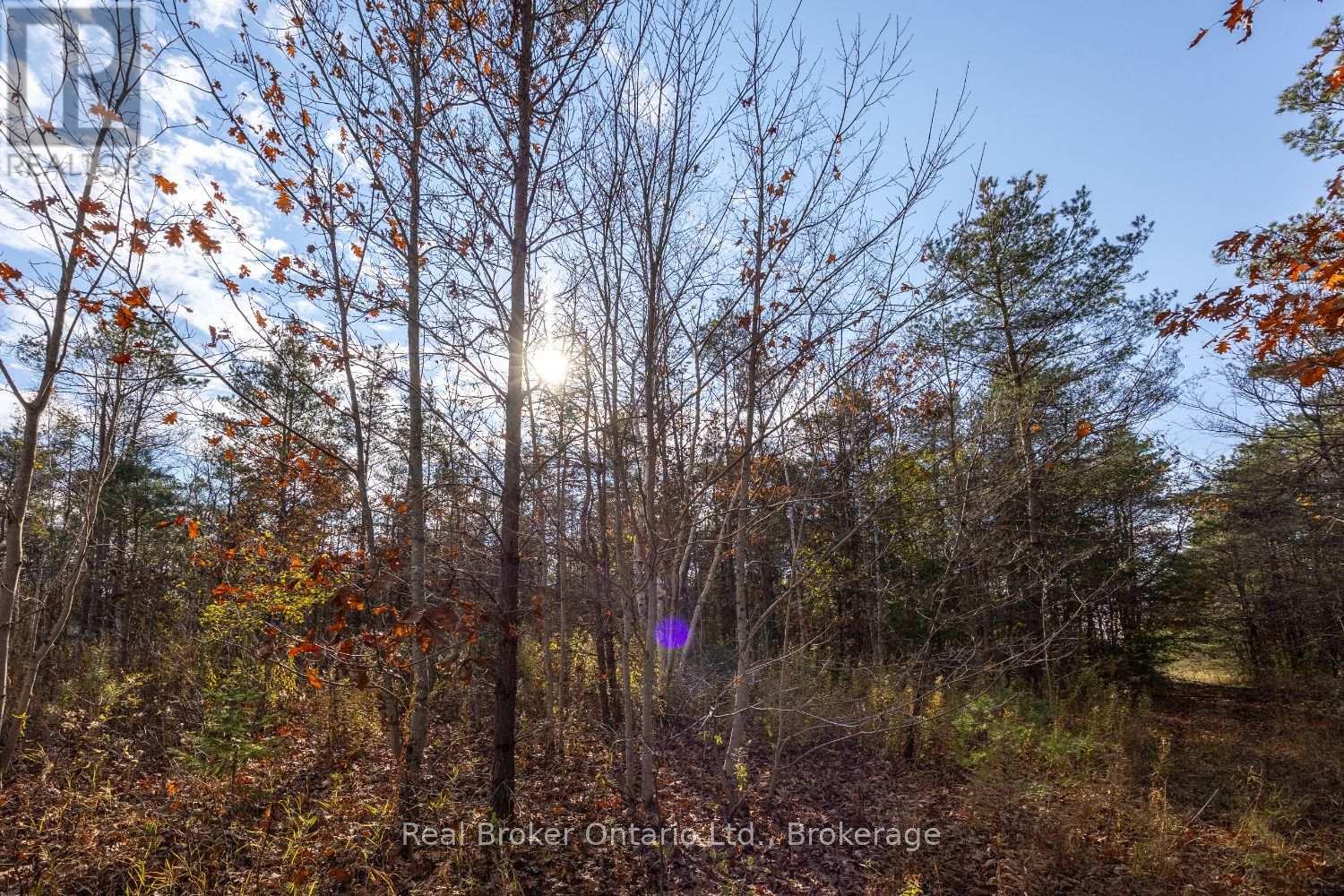 Pt Lt 1 Con 3 Manvers, Kawartha Lakes (Manvers), Ontario  L0A 1K0 - Photo 10 - X14133006