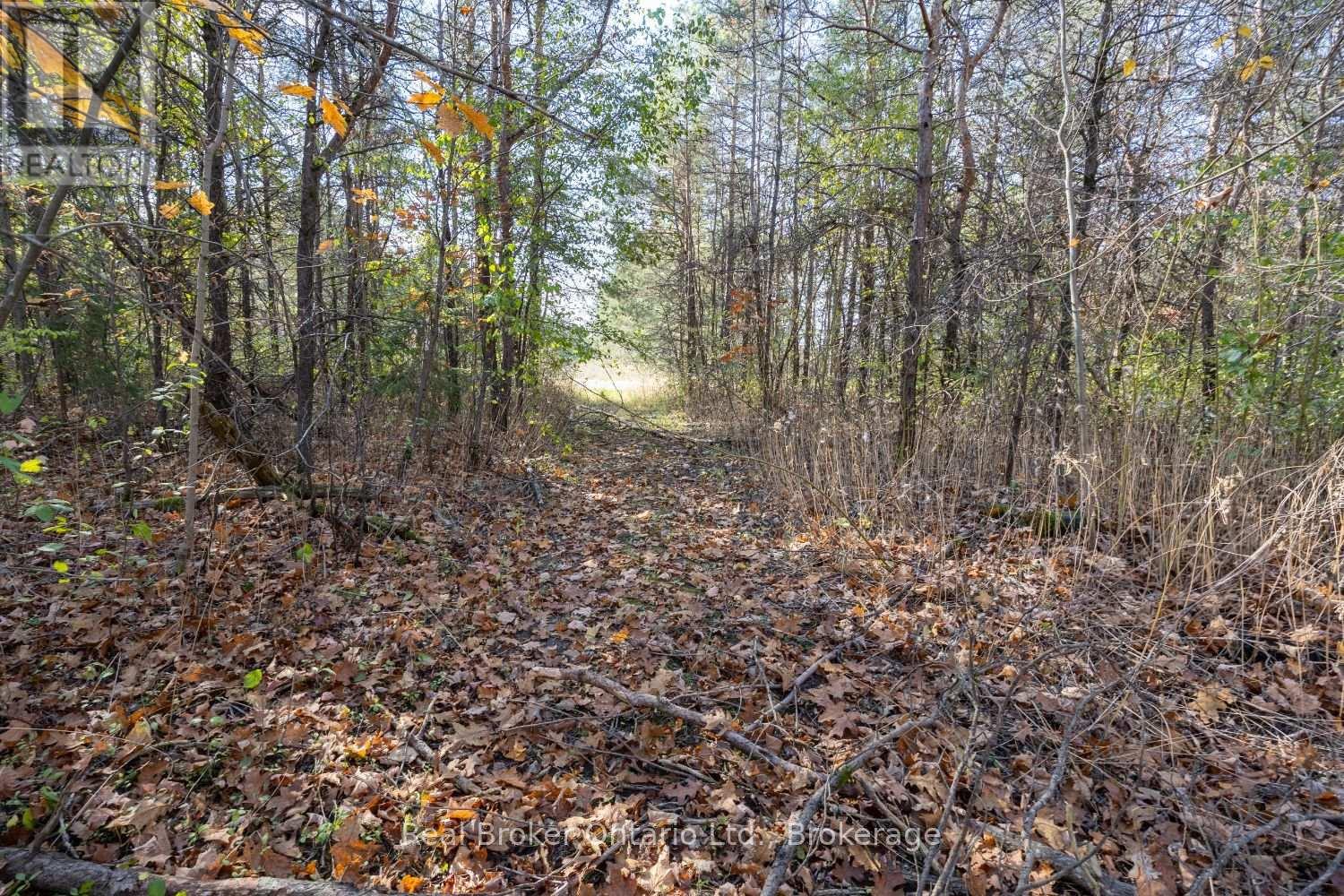 Pt Lt 1 Con 3 Manvers, Kawartha Lakes (Manvers), Ontario  L0A 1K0 - Photo 12 - X14133006