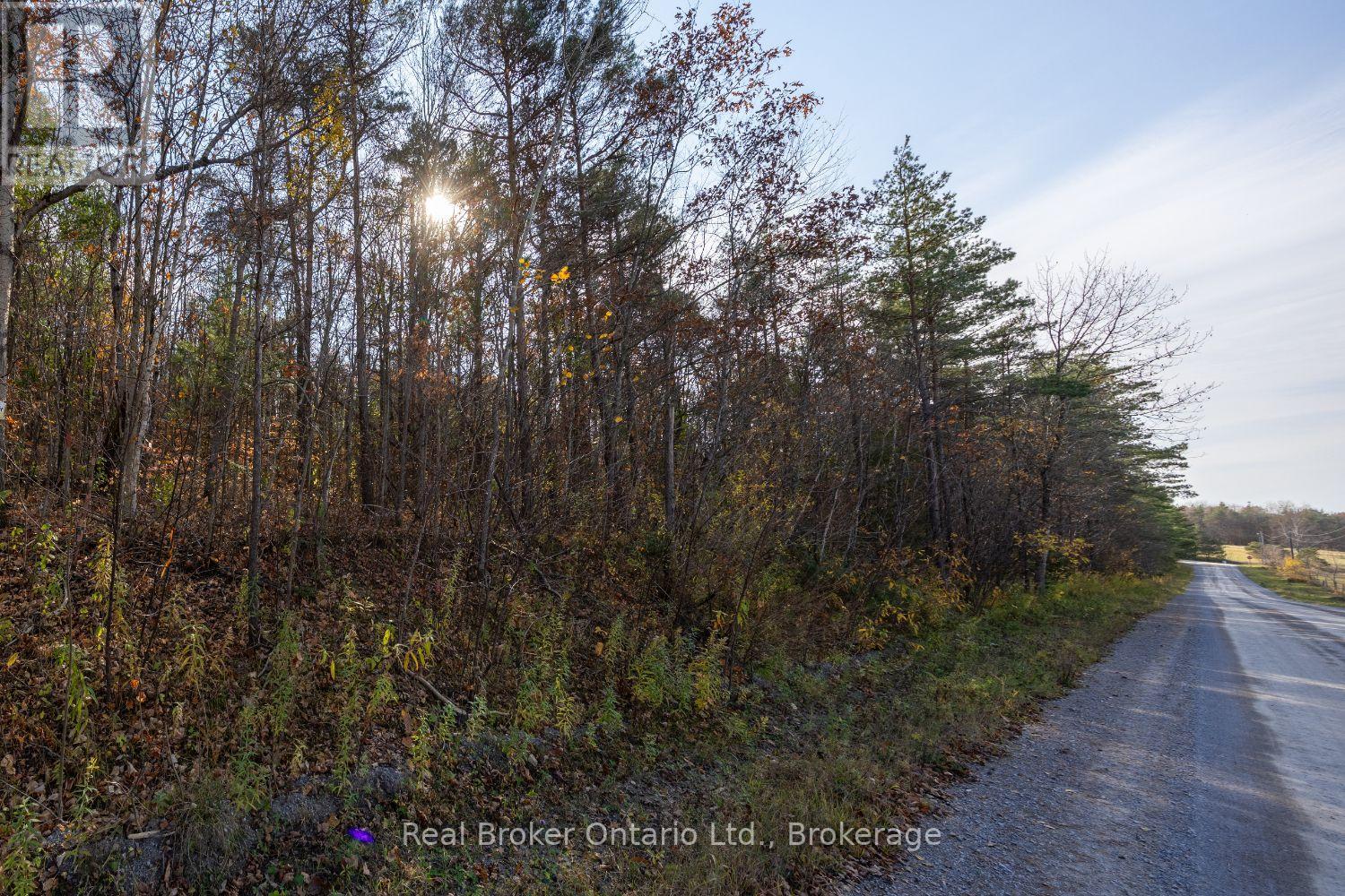Pt Lt 1 Con 3 Manvers, Kawartha Lakes (Manvers), Ontario  L0A 1K0 - Photo 13 - X14133006