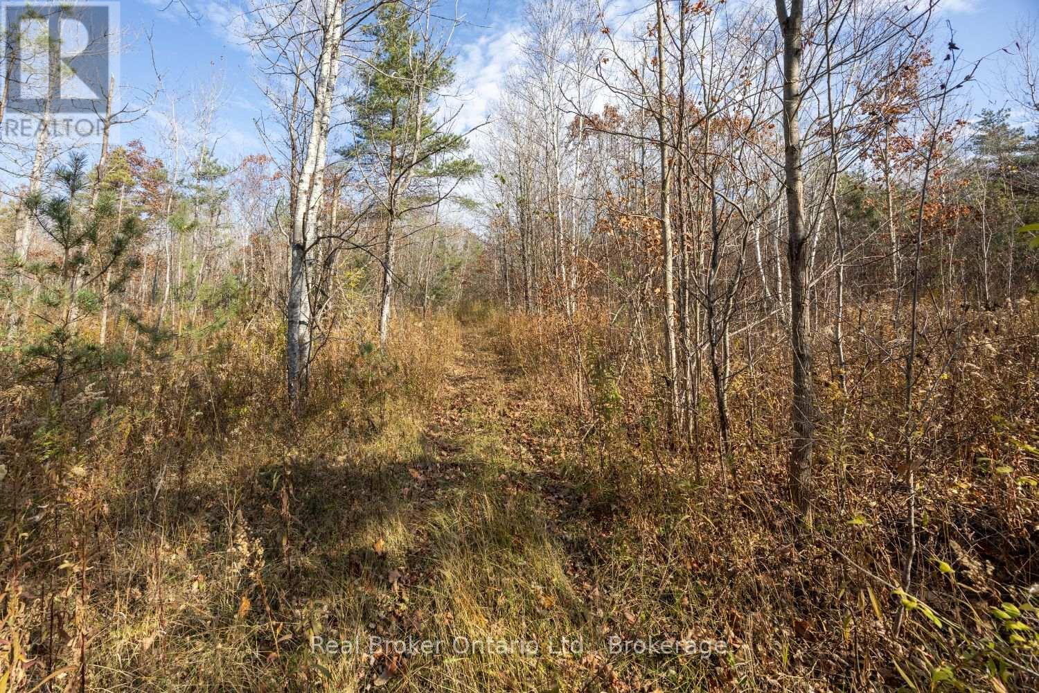 Pt Lt 1 Con 3 Manvers, Kawartha Lakes (Manvers), Ontario  L0A 1K0 - Photo 16 - X14133006