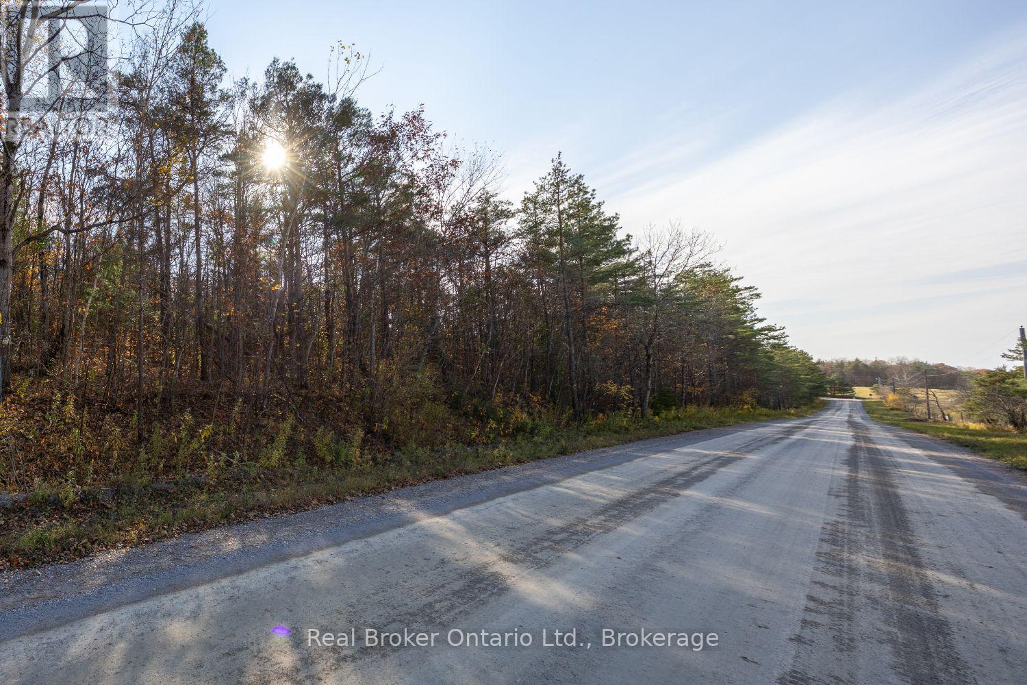 Pt Lt 1 Con 3 Manvers, Kawartha Lakes (Manvers), Ontario  L0A 1K0 - Photo 17 - X14133006