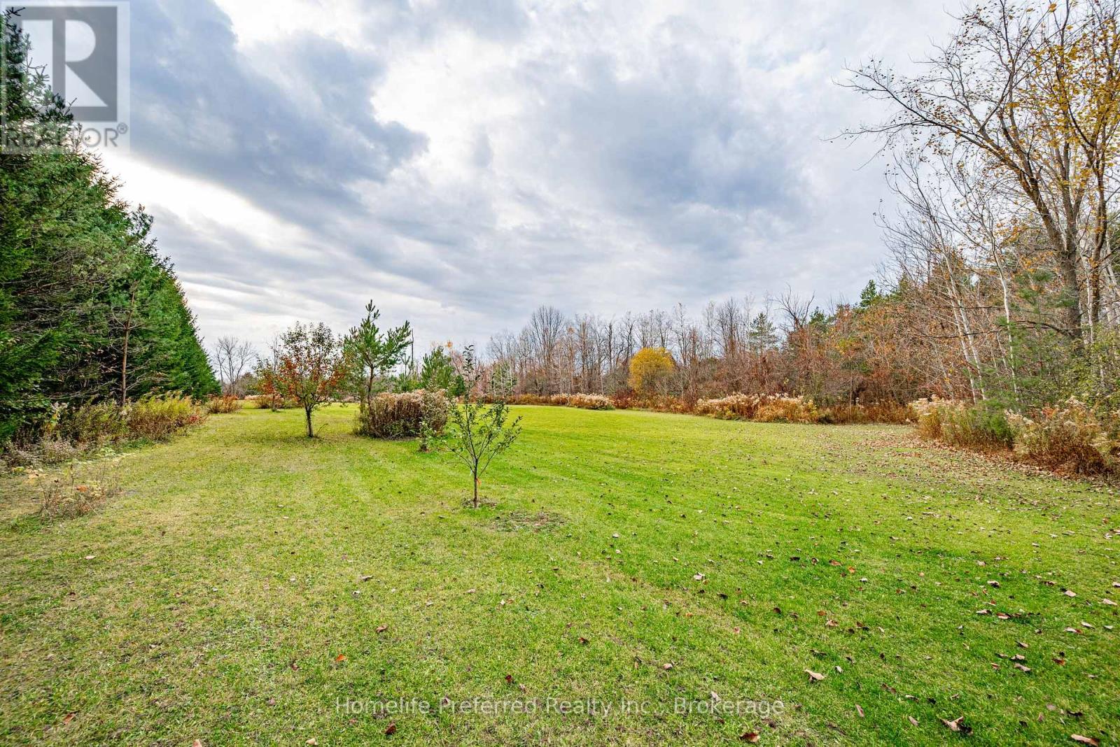 619 Emily Park Road, Kawartha Lakes (Emily), Ontario  K0L 2W0 - Photo 46 - X14133482