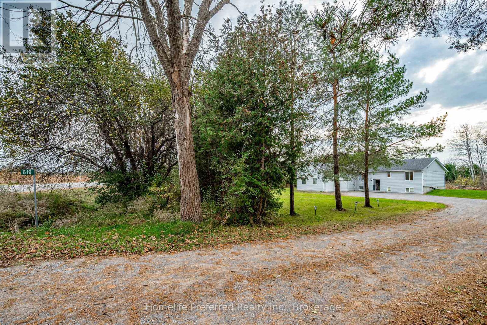 619 Emily Park Road, Kawartha Lakes (Emily), Ontario  K0L 2W0 - Photo 5 - X14133482